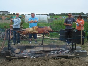   The gang get the pig ready.              Photo: Dierdre