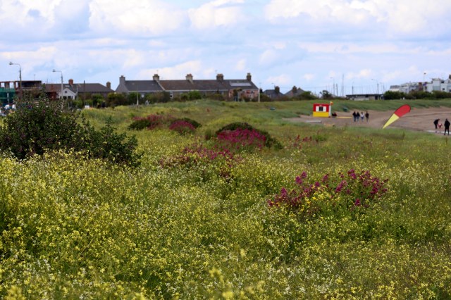 454288450580738049_IMG_1056