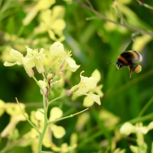 4671500109076307134_IMG_1058