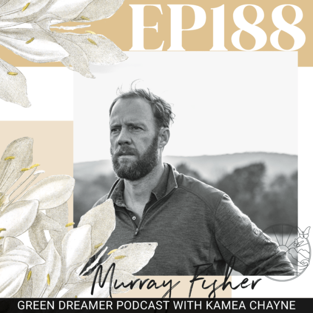 Restoring the New York Harbor to the thriving marine ecosystem it once was (Interview with Murray Fisher of Billion Oyster Project)