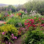 Cottage-garden_Cherry-Townsend-150x150