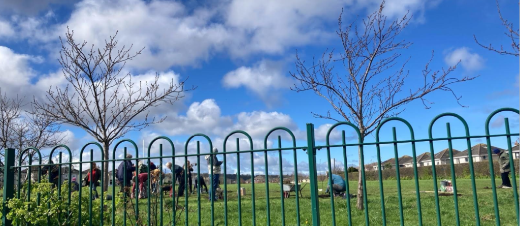 Planting at Kelly's Bay Open Orchard