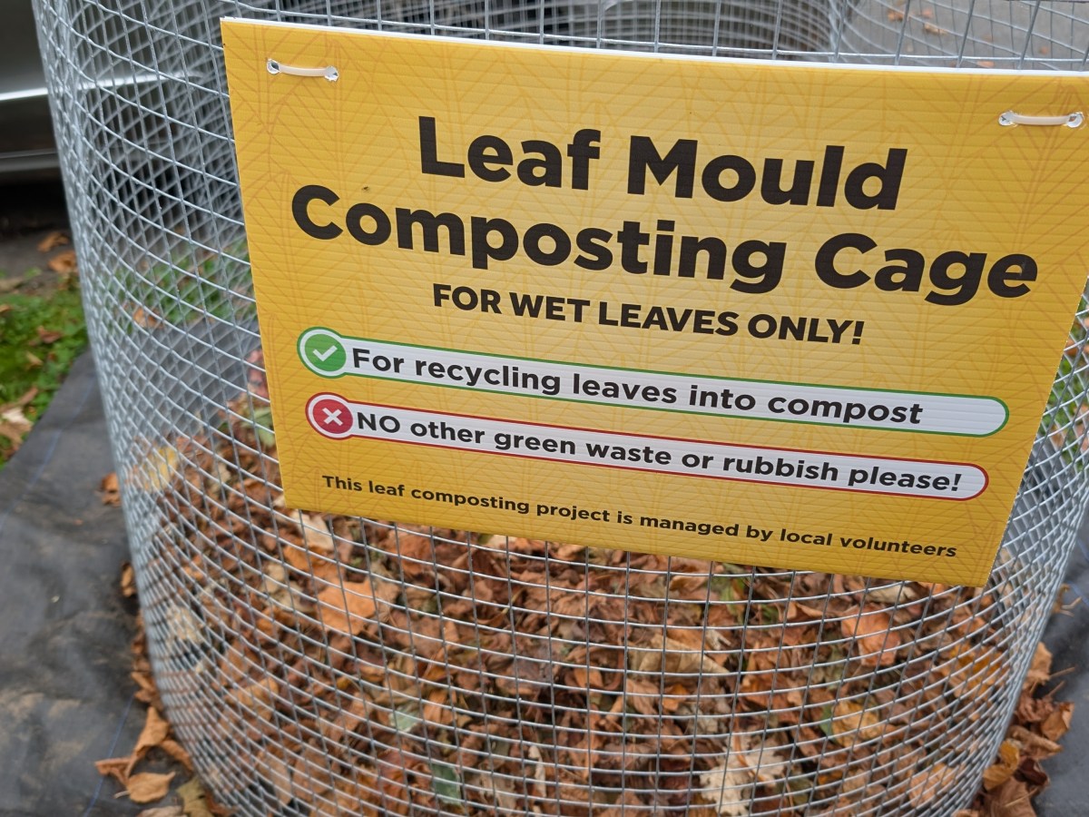 Turning Autumn Leaves into Gold – the Sustainable&nbsp;Way
