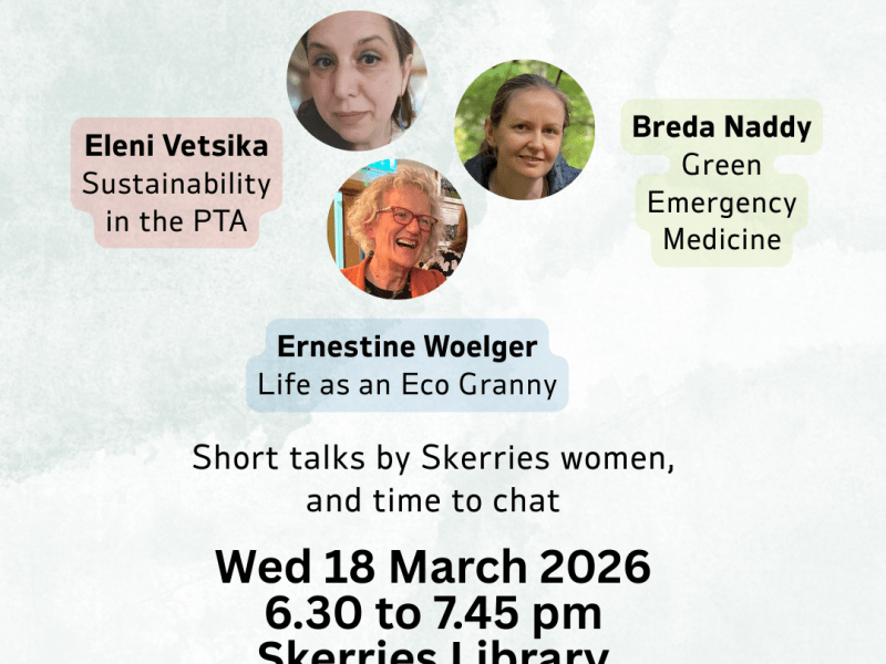 Skerries Climate Conversations: Green granny, green PTA, green emergency&nbsp;departments