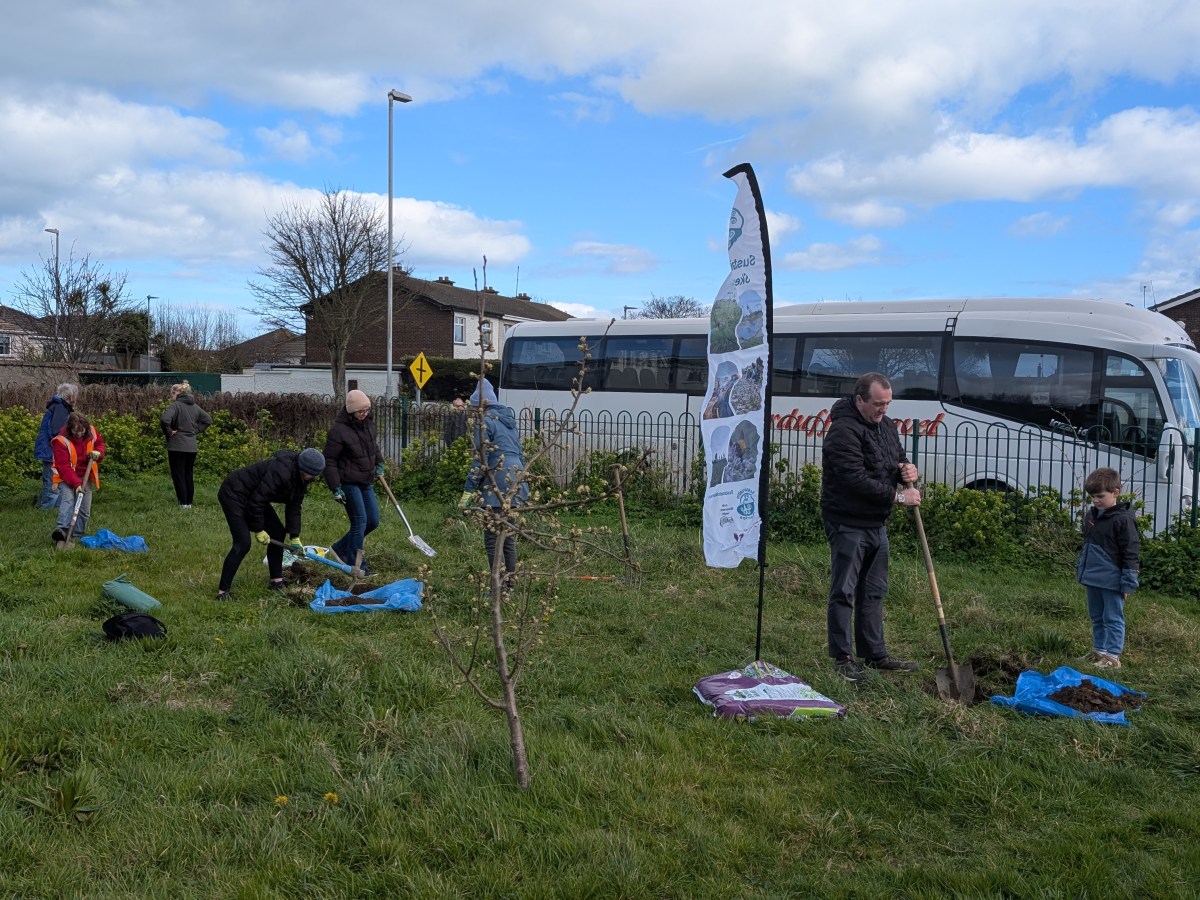 2026 Skerries Open Orchards&nbsp;Update
